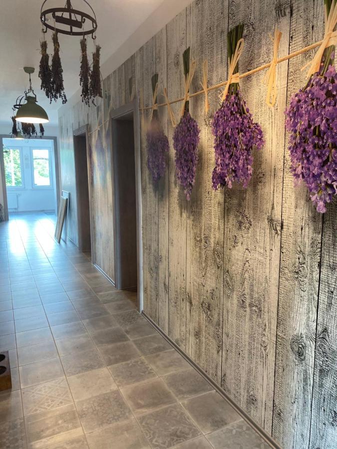 La Maison Pritzwalk - Bett & Bike Exterior photo